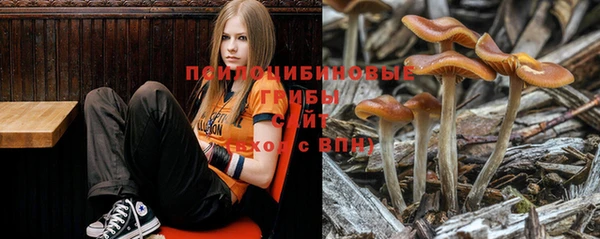 2c-b Пересвет